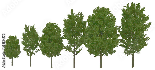 Group of Trees Isolated on White Background, Realistic 3D Illustration, Natural Forest Elements Collection for Landscape Design, Environmental Concept, Botanical Stock Photo