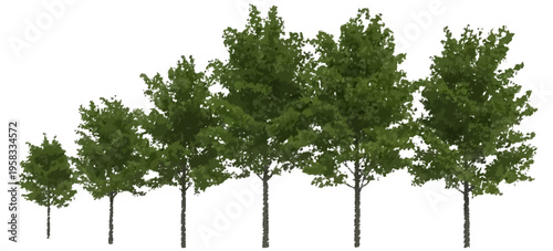 Group of Trees Isolated on White Background, Realistic 3D Illustration, Natural Forest Elements Collection for Landscape Design, Environmental Concept, Botanical Stock Photo