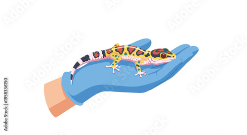 A spotted gecko with yellow and black patterns is held by a gloved hand against a clean white background.