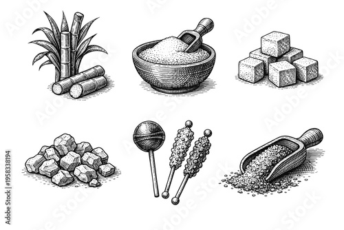 Vintage engraved sugar collection in black and white sweet ingredient illustration style