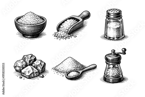Vintage engraved salt collection in black and white seasoning illustration style