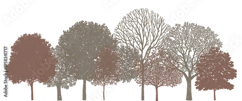 Minimal-Style CAD Side-View Tree and Wetland Forest Section Outline Set, Architectural Landscape Design Vector Illustration for Autumn Foliage Line Drawings and Environmental Site Plans