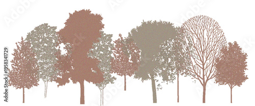 Minimal-Style CAD Side-View Tree and Wetland Forest Section Outline Set, Architectural Landscape Design Vector Illustration for Autumn Foliage Line Drawings and Environmental Site Plans
