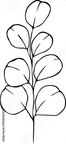Eucalyptus leaves. Hand-drawn line art element for design