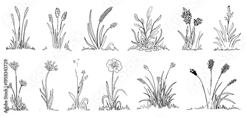 Set of Shrubs Line CAD, Ground Cover Illustration, Architectural Elevation Element, Side View Grass Section Vector for Landscape Design, Site Plan, and Environmental Presentation