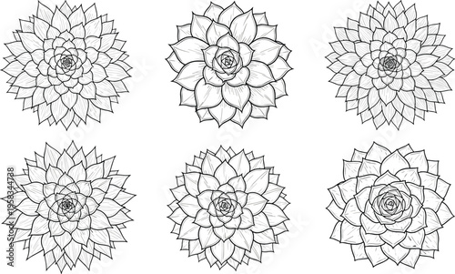 Black and white dahlia flower set with detailed line art style. Decorative floral collection with geometric petals. Elegant botanical elements for pattern and design use.