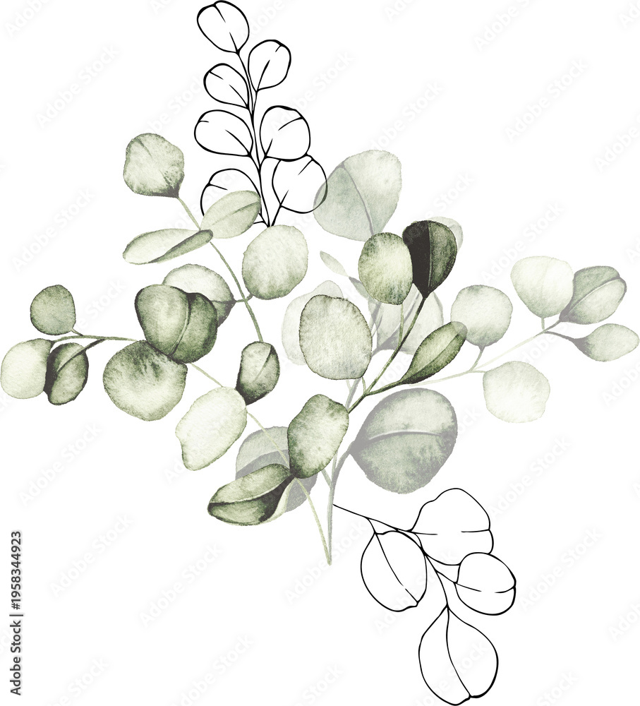 Obraz premium Eucalyptus watercolor arrangement with line art botanical elements