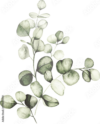 Foto Soft eucalyptus watercolor branch botanical arrangement illustration