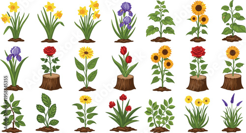 Garden flower and plant set with soil and stump bases. Colorful botanical collection including sunflower, rose and iris. Decorative elements for gardening and nature design.