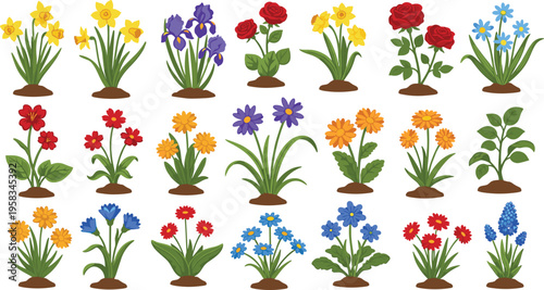 Colorful garden flower set growing in soil with various blooming plants. Botanical collection of spring flowers. Decorative floral elements for gardening and nature design.