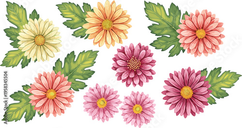 Chrysanthemum flower arrangement with green leaves in soft pastel tones. Hand drawn botanical composition with blooming flowers. Elegant floral elements isolated for decorative design.