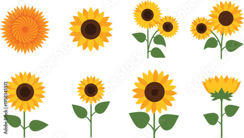Sunflower set with bright yellow petals in flat vector style. Cheerful floral collection with different shapes and arrangements. Decorative summer elements isolated for design.