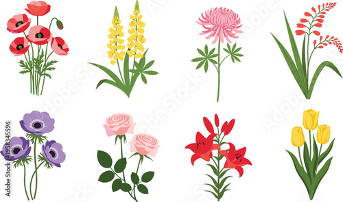 Mixed garden flower set with colorful botanical illustrations. Collection includes poppy, tulip, lily and rose flowers. Decorative floral elements isolated for spring and nature design.