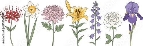 Elegant wildflower set with hand drawn botanical style. Collection includes lily, iris, rose and daffodil flowers. Decorative floral elements isolated for nature design.