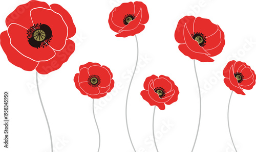 Minimal red poppy flower set. Simple botanical collection with clean shapes and stems. Modern floral elements isolated for design, branding, and decorative use.