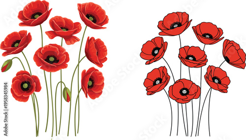 Red poppy flower set with outline version. Botanical collection with colored and line art flowers. Floral elements isolated for design, coloring, and decorative use.