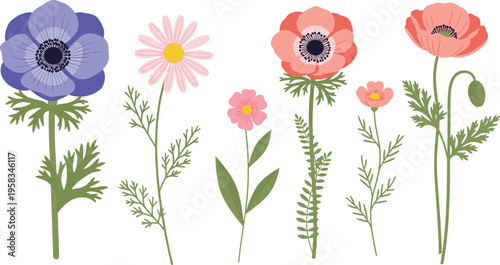 Mixed pastel flower set. Botanical collection with soft colored blooms and delicate stems. Decorative floral elements isolated for spring, nature, and design projects.