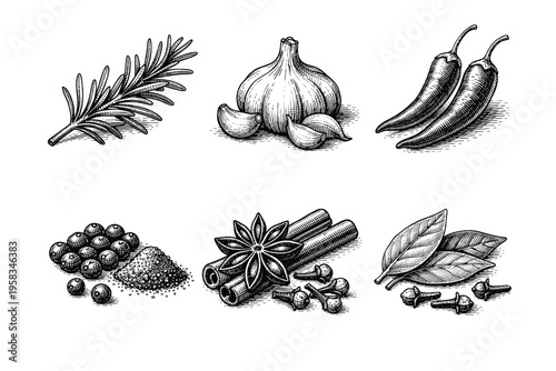 Vintage engraved seasoning and spice collection in black and white culinary illustration style