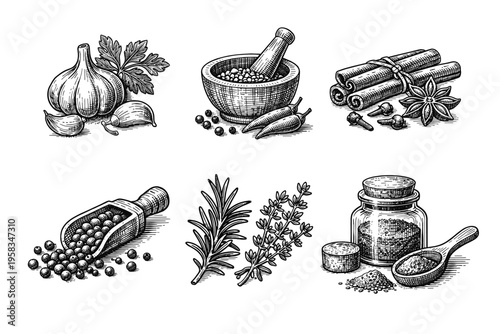 Vintage engraved seasoning and spice collection in black and white culinary illustration style
