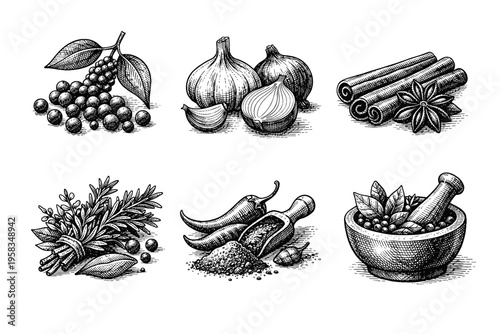 Vintage engraved seasoning and spice collection in black and white culinary illustration style