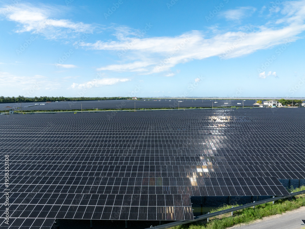 Fototapeta premium default