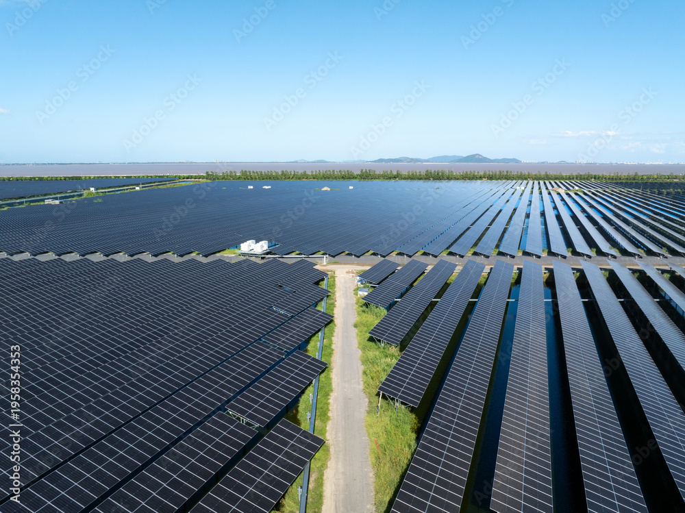 Fototapeta premium default