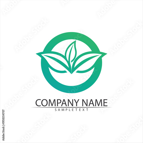 Tree leaf vector and green logo design friendly concept