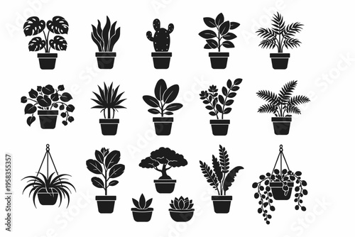 Silhouette collection of various potted houseplants and hanging plants