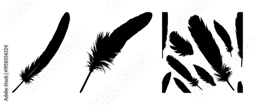 Feather quill silhouette set with simple line art design featuring sketches, drawings, vector graphics with minimalist and simple illustrations