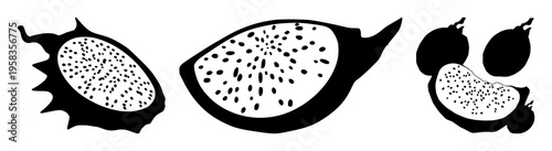 Graphic vector of a dragon fruit half showing seeds, exotic fruit theme, solid black lines, white background. set with simple line art design featuring simple design, minimalist, black and white wi...