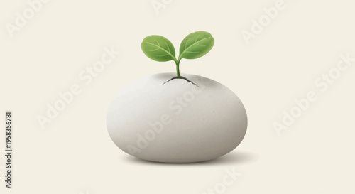 Small green sprout growing from a white stone.