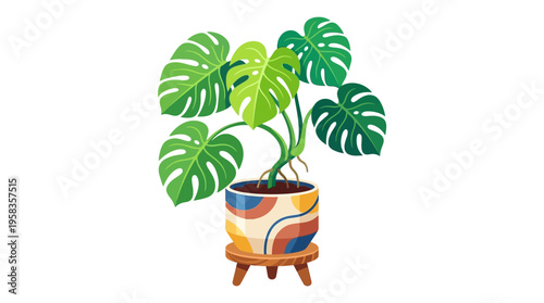 Potted Monstera Deliciosa Plant with Unique Colorful Ceramic Pot.
