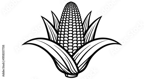 Stylized illustration of a fresh ear of corn with green leaves.