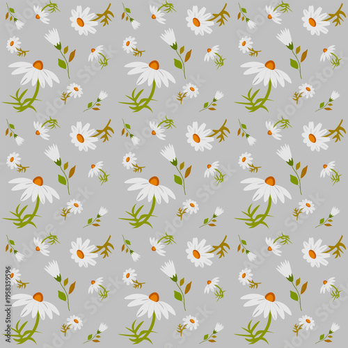 seamless pattern with camomiles