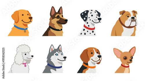 Vector illustrations of eight distinct dog breeds in a single row showcasing their unique features and expressions.