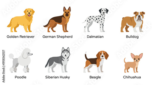Vector illustrations of various dog breeds in a single frame with multiple animals.
