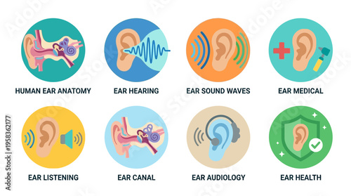 Vector illustration of human ear anatomy with sound waves and medical icons explaining ear hearing and audiology in a vector graphic.
