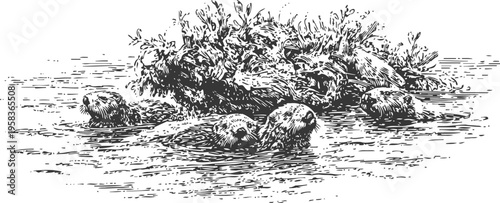 river otters swimming near riverbank vegetation in natural aquatic habitat illustration