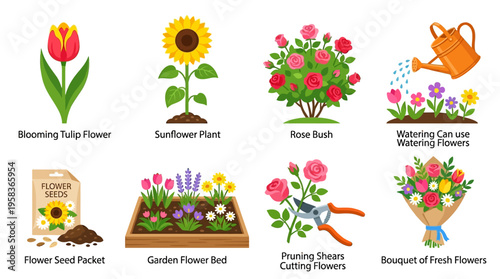 Vector illustration of a vibrant garden scene with blooming flowers, a rose bush, and a watering can, surrounded by gardening tools and a flower seed packet.