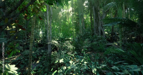 Vast forest canopy scene, Expansive tropical forest with sunlight filters, Immense rainforest landscape showcasing layered trees and rare ferns