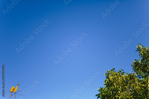 a weather vane and a green tree against a blue sky