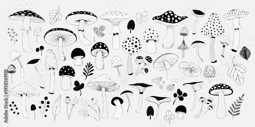 A collection of whimsical hand drawn mushrooms in black and white
