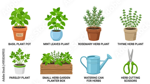 Herbs vector illustration of basil, mint, rosemary, thyme, parsley plants and gardening tools on display