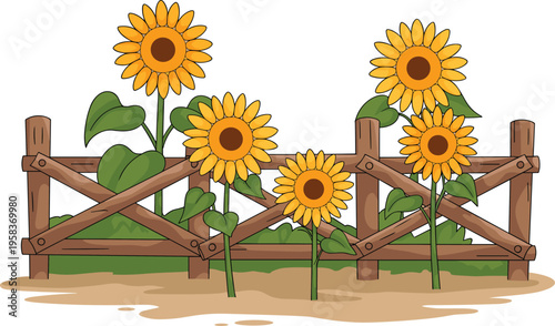 Vector illustration of vibrant sunflowers growing near a wooden fence in a garden setting with earthy tones