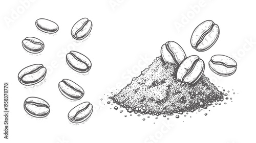 Hand drawn coffee beans scattered around a pile of ground coffee