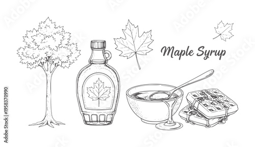 Hand drawn maple tree syrup bottle bowl waffles and leaves