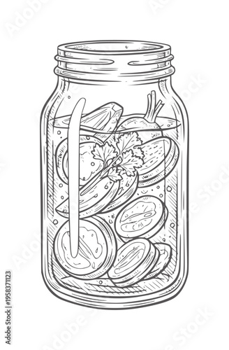 Hand drawn of a glass jar filled with sliced tomatoes and herbs in brine pickle