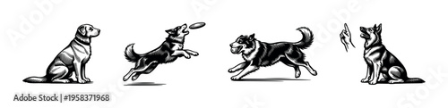 Black and white vector illustration of dogs in various poses including playing and sitting