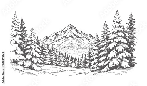 Snow covered pine trees frame a mountain peak in a vintage winter
