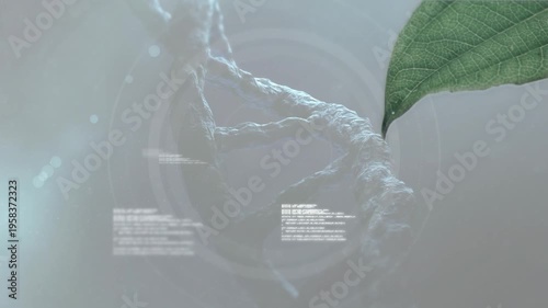 Animation of dna structure and data processing over close up of leaves against grey background